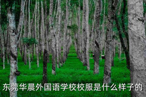 東莞華晨外國語學(xué)校校服是什么樣子的