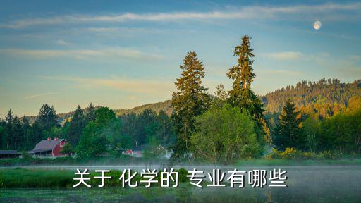 與化學(xué)有關(guān)的專(zhuān)業(yè),化學(xué)與生物結(jié)合專(zhuān)業(yè):化學(xué)分析與化學(xué)工程
