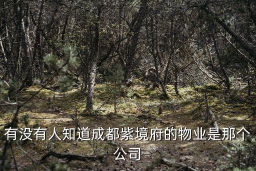 有沒有人知道成都紫境府的物業是那個公司