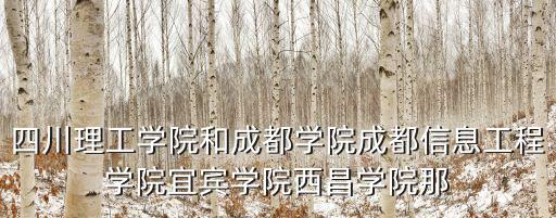 成都市社科成果獎，第十二屆成都市哲學社會科學評獎什么意思