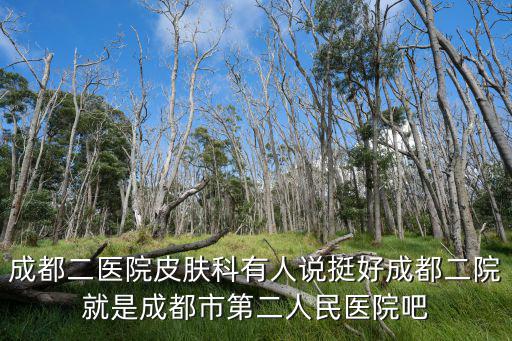 成都二醫(yī)院皮膚科有人說(shuō)挺好成都二院就是成都市第二人民醫(yī)院吧