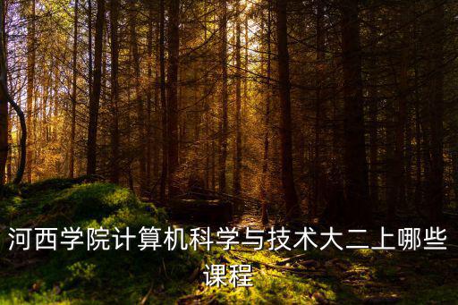 河西學院計算機科學與技術大二上哪些課程