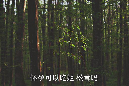 懷孕可以吃姬 松茸嗎