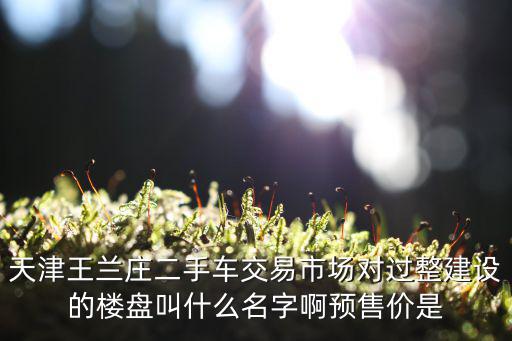 天津市美域蘭庭，天津市西青區限價房渤海天易園附近有地鐵規劃嗎