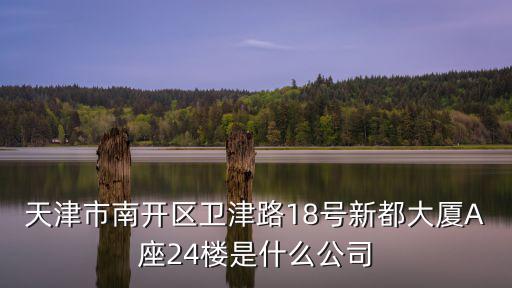 天津市南開區(qū)衛(wèi)津路18號新都大廈A座24樓是什么公司