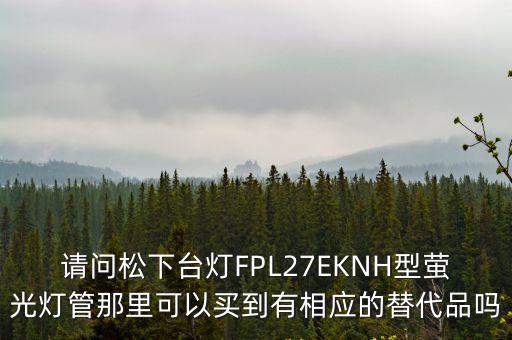 天津市和平區哪能買到松下臺燈，天津哪里有賣漂亮臺燈的地方