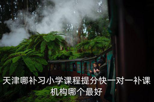 天津哪補(bǔ)習(xí)小學(xué)課程提分快一對(duì)一補(bǔ)課機(jī)構(gòu)哪個(gè)最好