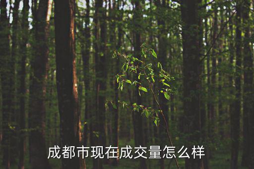 成都市現在成交量怎么樣