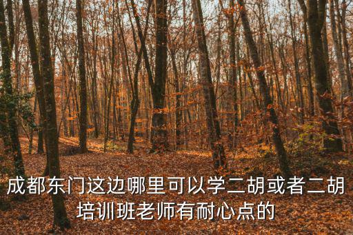 成都市少兒二胡，小孩學二胡