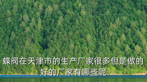 天津市世聞閥門(mén)有限公司，天然氣球閥質(zhì)量好的是什么牌子啊