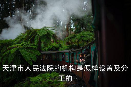 天津市人民法院的機構(gòu)是怎樣設(shè)置及分工的