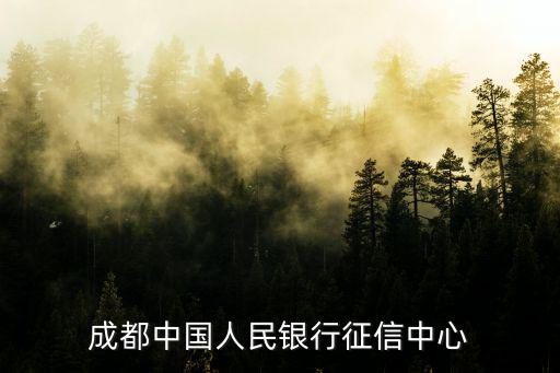 成都中國人民銀行征信中心