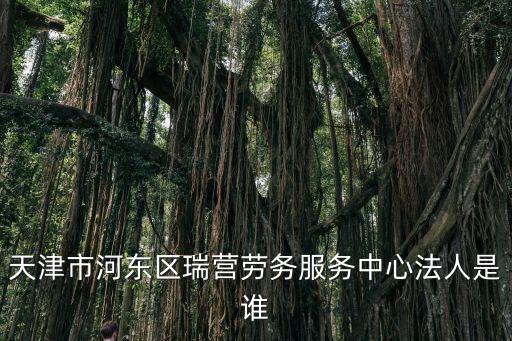 天津市河?xùn)|區(qū)瑞營(yíng)勞務(wù)服務(wù)中心法人是誰(shuí)