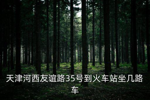 天津河西友誼路35號到火車站坐幾路車