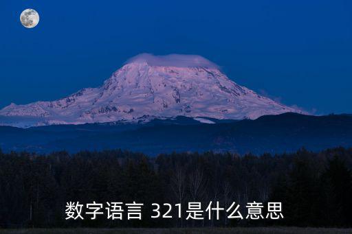 數字語言 321是什么意思