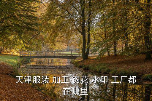 天津服裝 加工 鉤花 水印 工廠都在哪里