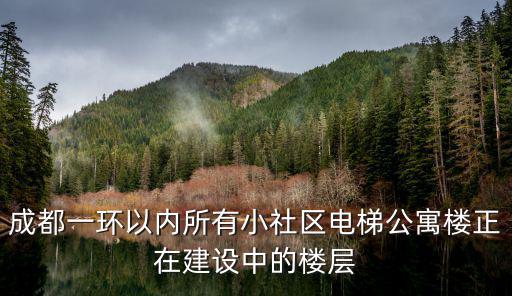 成都一環以內所有小社區電梯公寓樓正在建設中的樓層