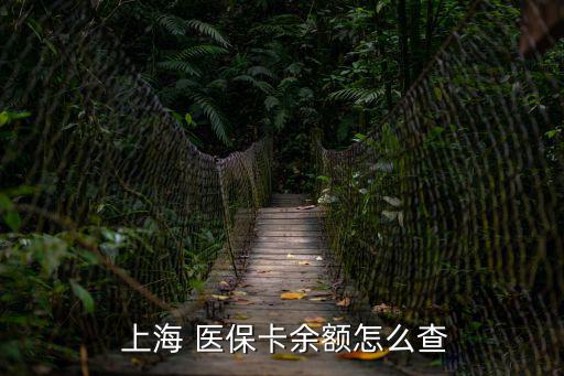 上海醫保網,上海社保如何查詢卡內余額