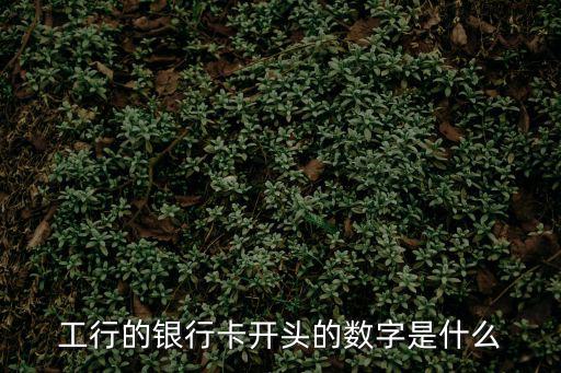 工行的銀行卡開頭的數字是什么