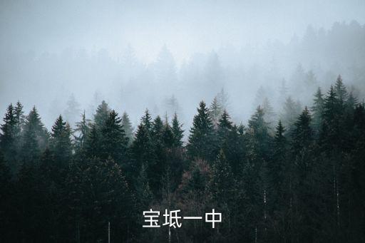 寶坻一中