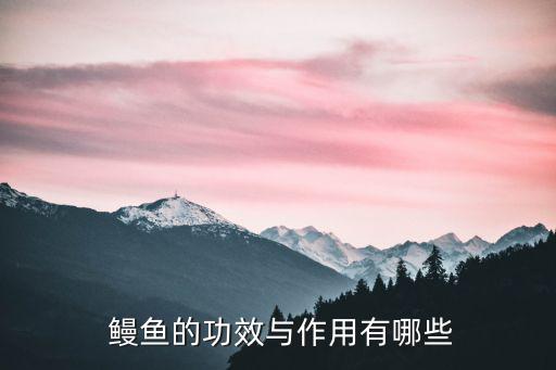  鰻魚的功效與作用有哪些
