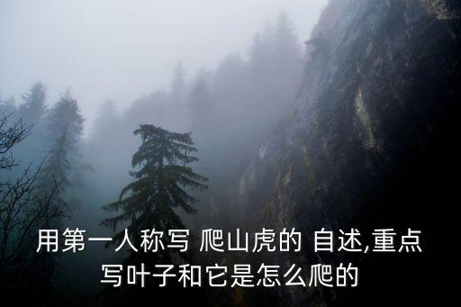 爬山虎的自述,爬山虎你知道這里有多美?