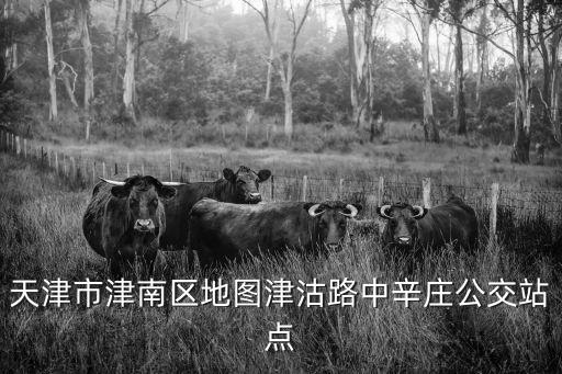 天津市津南區(qū)地圖津沽路中辛莊公交站點(diǎn)