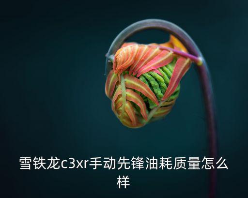 成都市c3xr性能如何，c3xr和繽智那個(gè)安全性能好點(diǎn)