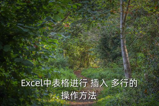 Excel中表格進行 插入 多行的操作方法