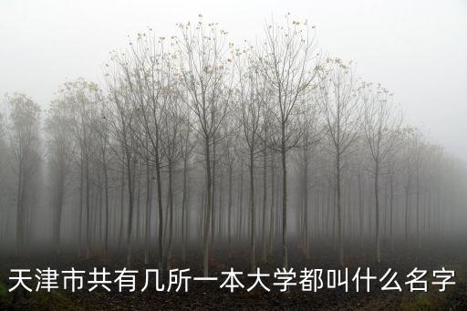 天津市大學都是幾本院校，天津大學屬于幾本啊