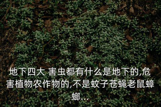 地下四大 害蟲都有什么是地下的,危害植物農(nóng)作物的,不是蚊子蒼蠅老鼠蟑螂...