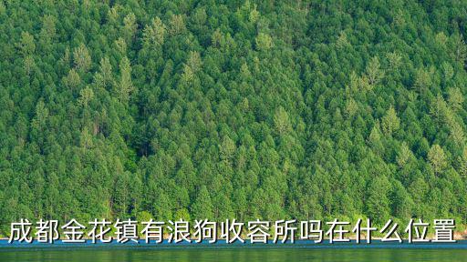 成都市金花養狗場，成都新都區哪里有賣狗的狗場嗎或者有人出售家養邊牧金毛拉布