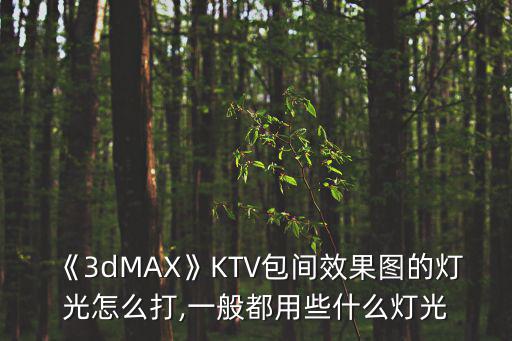 《3dMAX》KTV包間效果圖的燈光怎么打,一般都用些什么燈光