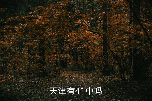 天津有41中嗎