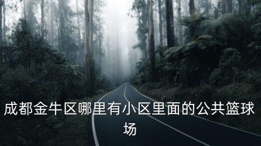 成都金牛區哪里有小區里面的公共籃球場
