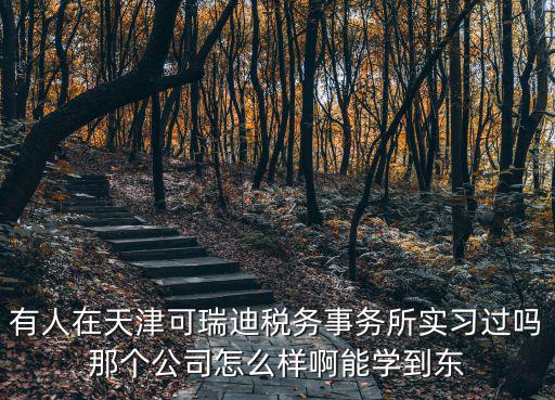有人在天津可瑞迪稅務事務所實習過嗎那個公司怎么樣啊能學到東
