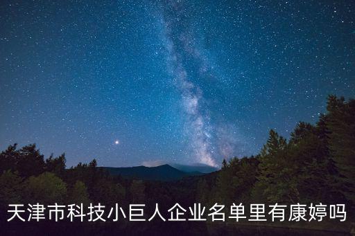 天津市科技小巨人企業(yè)名單里有康婷嗎
