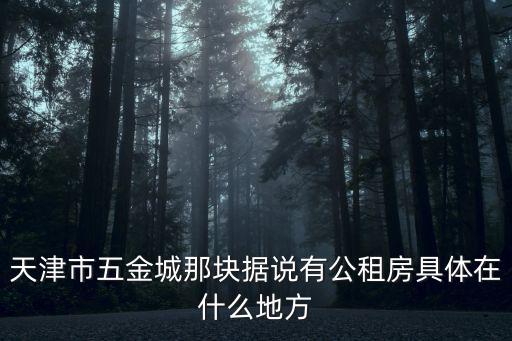 天津市五金城那塊據說有公租房具體在什么地方