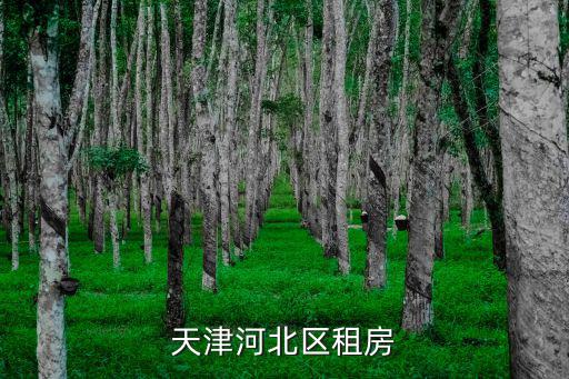 天津市圓通萬家房屋租賃有限公司，天津河北區租房