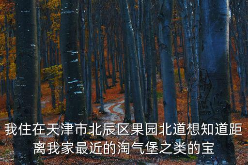 我住在天津市北辰區果園北道想知道距離我家最近的淘氣堡之類的寶