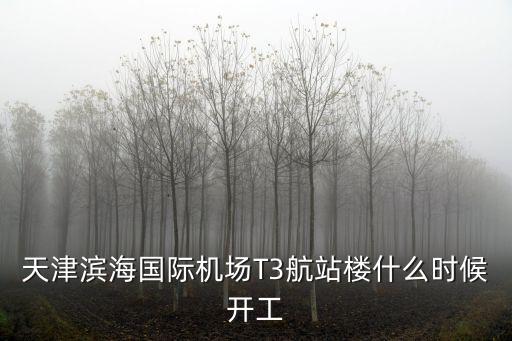 天津?yàn)I海國際機(jī)場(chǎng)T3航站樓什么時(shí)候開工
