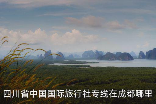 四川省中國國際旅行社專線在成都哪里