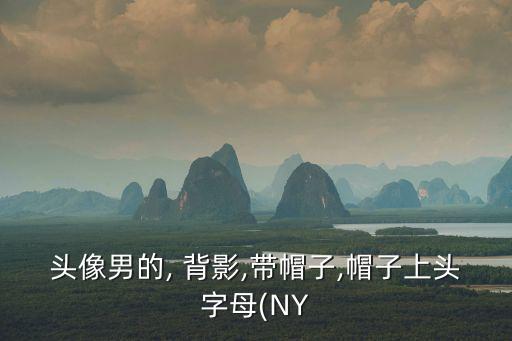 頭像男的, 背影,帶帽子,帽子上頭字母(NY