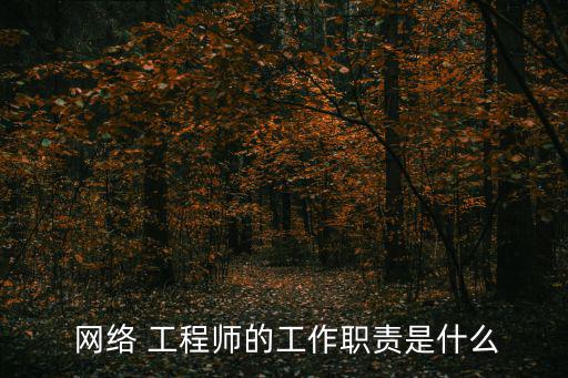 網絡工程師,網絡工程師為系統開發提供技術支持和指導