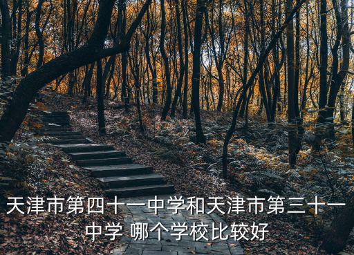天津市第四十一中學和天津市第三十一中學 哪個學校比較好