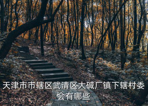 天津市市轄區(qū)武清區(qū)大堿廠鎮(zhèn)下轄村委會(huì)有哪些