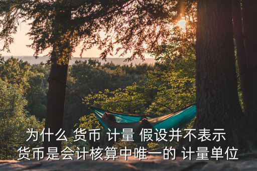 貨幣計量假設,我國:貨幣計量假設不是會計學中唯一計量單位