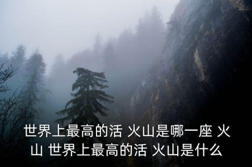  世界上最高的活 火山是哪一座 火山 世界上最高的活 火山是什么