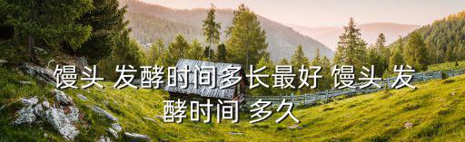  饅頭 發酵時間多長最好 饅頭 發酵時間 多久