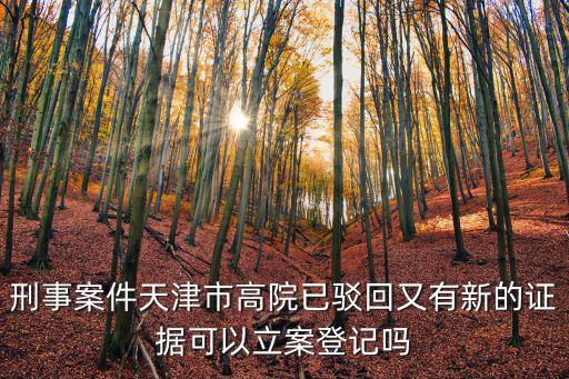 刑事案件天津市高院已駁回又有新的證據可以立案登記嗎